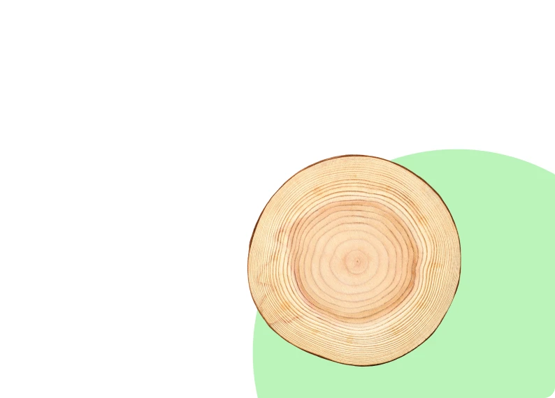 Cross-section of tree trunk on pastel background